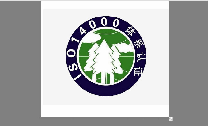 公司順利通過(guò)ISO9001:2008國(guó)際質(zhì)量管理體系認(rèn)證、ISO14001:2004環(huán)境管理體系認(rèn)證和OHSAS18001:2007職業(yè)健康安全管理體系認(rèn)證。